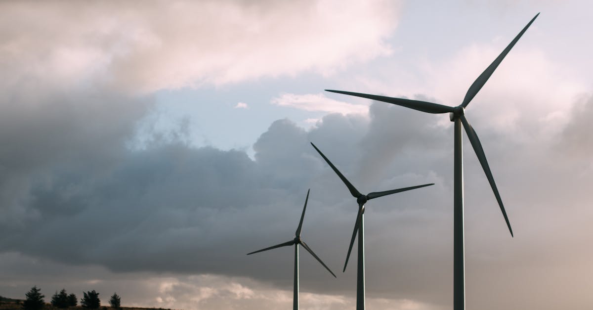 découvrez comment le développement durable forge un avenir respectueux de l'environnement, alliant croissance économique, justice sociale et préservation des ressources naturelles pour les générations futures.